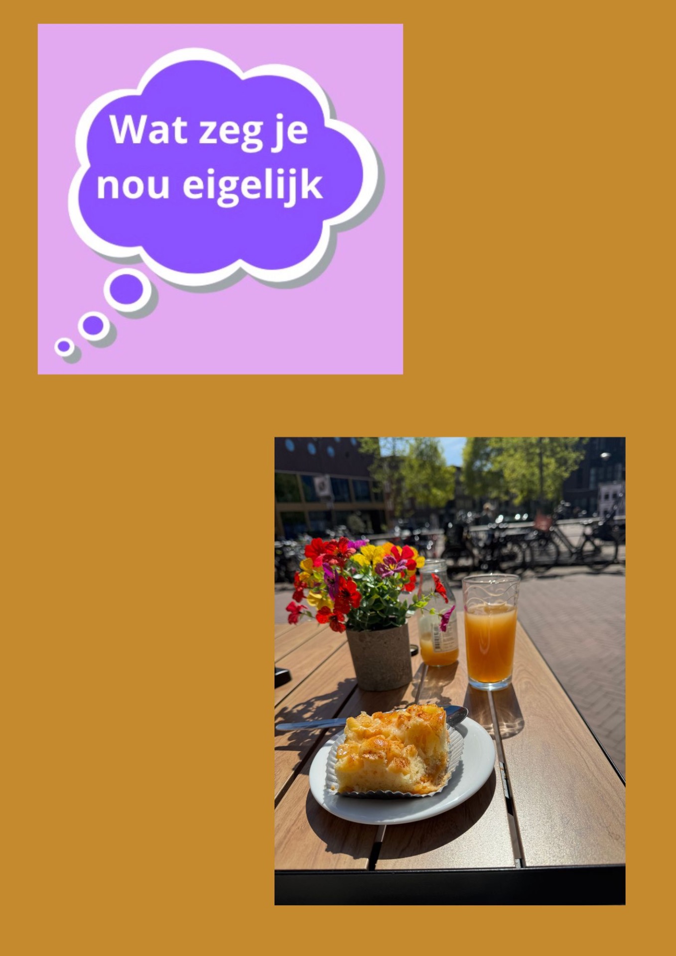 Beschrijving volgt